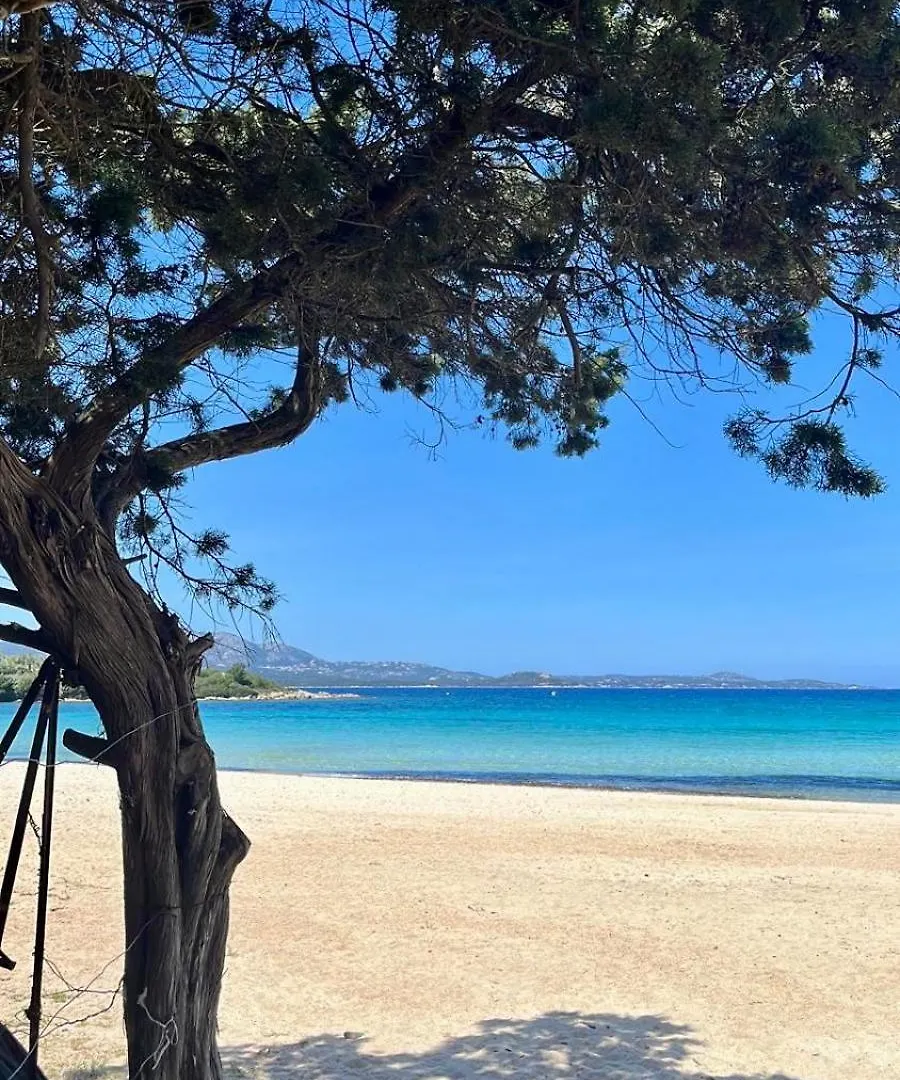 Le Terrazze Porto Rotondo Apartment